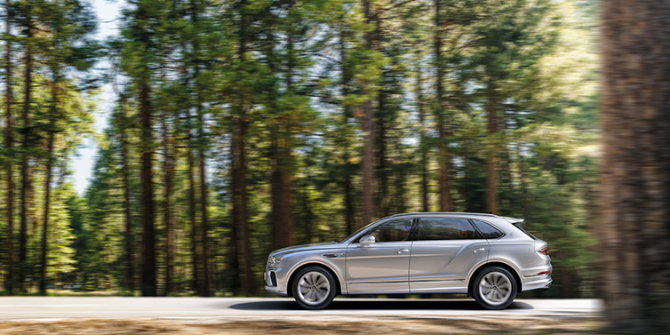 Bentley Kuala Lumpur Bentley Bentayga Extended Wheelbase SUV in Moonbeam paint driving dynamically on a forest road